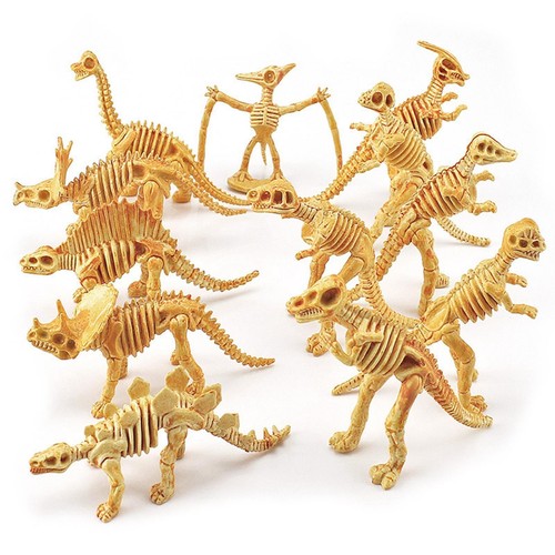 Dinosaurier skelett modelle - dinosaurier,