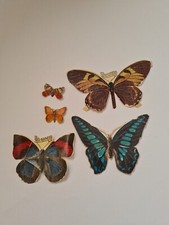 Stammbuchbilder - Glanzbilder - Schmetterlinge - 50er Jahre - DDR