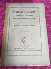 Bakterien-Cyclogenie Günther Enderlein de Gruyter 1925 Erstausgabe 