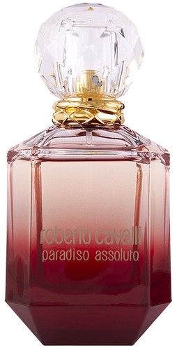 Roberto cavalli paradiso - roberto,