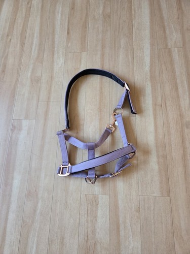 Ponyhalfter lila - ponyhalfter,