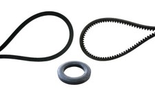 Original Agria Keilriemen und