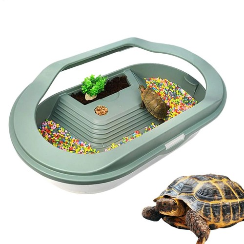 Schildkröten terrarium mit - schildkröten,