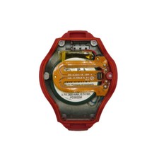 Rote Rückschale untere