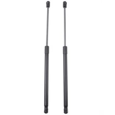2x Universal Gasfeder