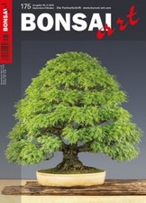 Bonsai art Nr. 175 -