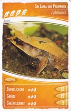 Netto     Ozeanien 2        "