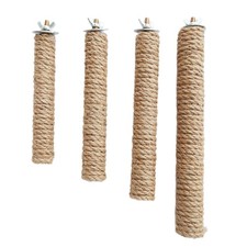 Papagei Haustier Stehen