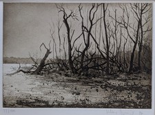 Lichtung Radierung von Klaus