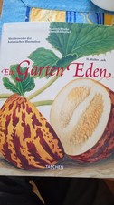 H. Walter Lack. Ein Garten
