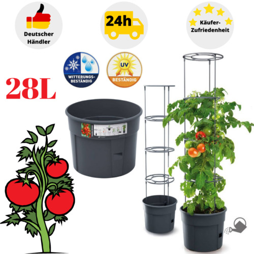 Tomatentopf set blumentopf - tomatentopf,