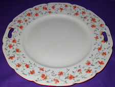 Arzberg Rotblüte 1458 ***