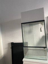 Glas Terrarium von E.N.T