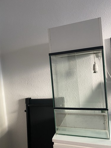 Glas terrarium von t - glas,