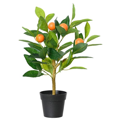 Kunstpflanze orangenbaum mit - kunstpflanze,