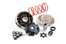 Variomatik Malossi Multivar