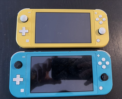 Nintendo switch lite - nintendo,
