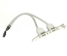 2x USB 2.0 Buchse Slotblech