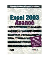Excel 2003 Avancé, Patrick