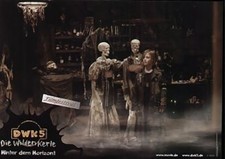 Wilde kerle 5, die - 8