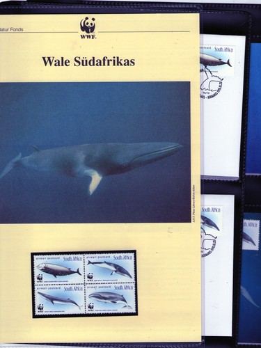 Wwf 1998 südafrika wale - wwf,