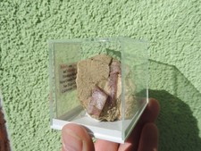Rubellit und Quarz auf