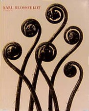 Karl blossfeldt fotografie - -, blossfeldt: