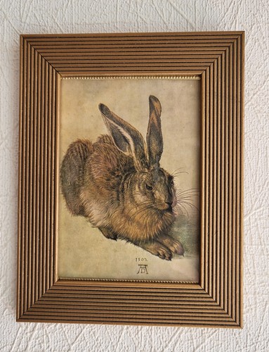 Vintage dürer feldhase - dürer, "feldhase"