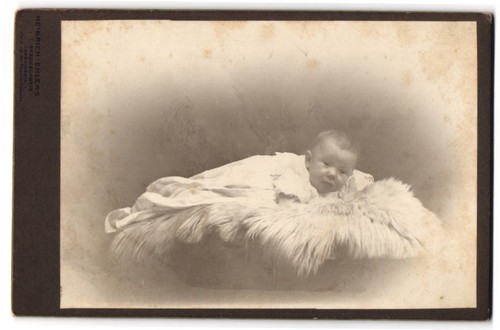 Fotografie heinrich ehlers - heinrich,
