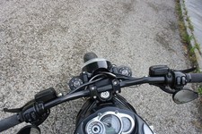 Harley Night Rod - Muscle