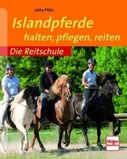 Islandpferde: halten, pflegen