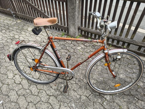 Standard stadt fahrrad vintage - stadt,