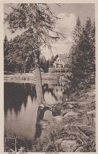 Bayer wald arbersee - bayer.wald, ngl