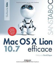 Mac OSX Lion 10,7 efficace von Gete, Guillaume | Buch | Zustand gut
