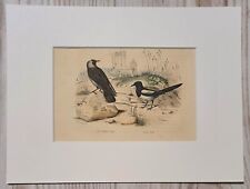 1852 Lithographie Kunstdruck