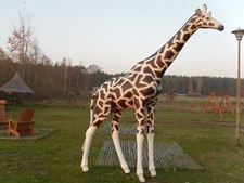 Giraffe XXL lebensgross 3,20m Garten Wild Deko Tierfigur Gartendekoration Neu