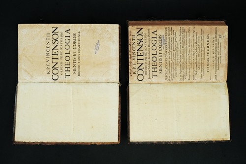 Vincentii contenson - vincentii,