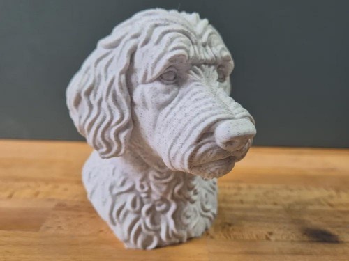 Labradoodle büste realistic - labradoodle,