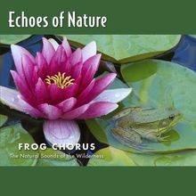 Froschchor von Echoes of Nature von nicht angegeben | CD | Zustand gut