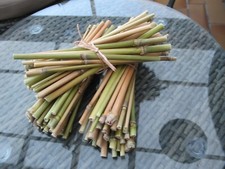 Bausatz Insektenhotel 1 Bund 30 x  Schilfrohr je ca. 20cm Bruthülsen Maskenbiene