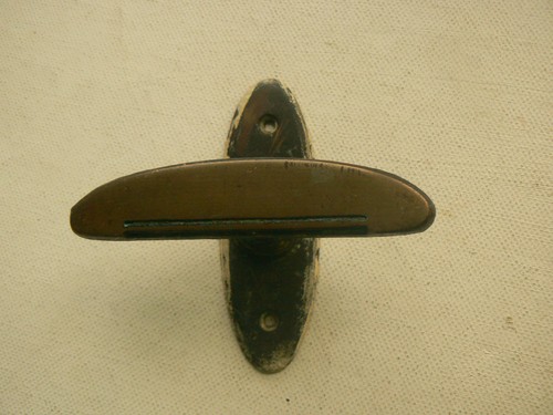 Fensterolive,Fensterwirbel,Fen