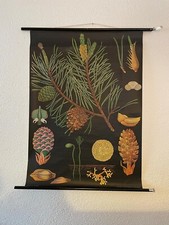 Schulwandkarte Lehrtafel