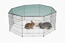 Freilaufgehege TIMMY