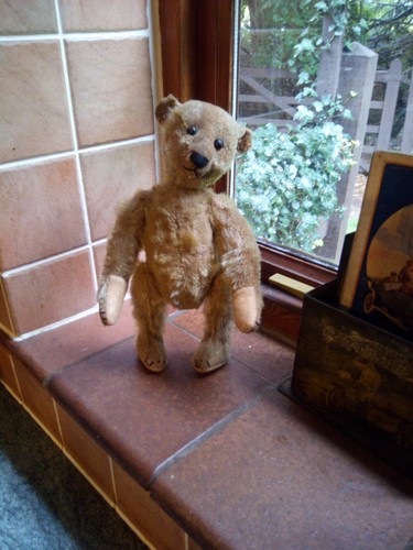 Bezaubernder antiker steiff - bezaubernder,