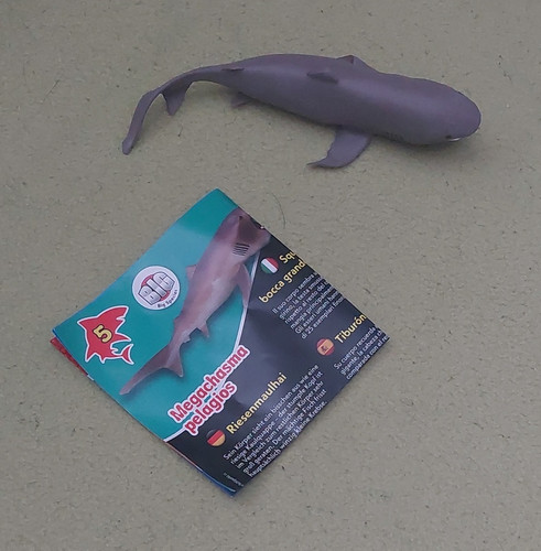 Planet wow shark collection - wow,