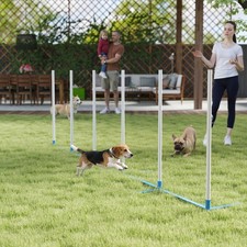 PawHut Hunde Agility Training