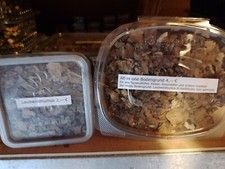 Bioaktives Terrarium