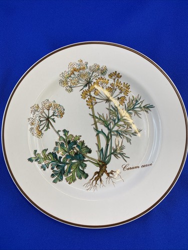 Villeroy boch botanica carum - boch,
