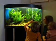 Aquarium Eckkombination