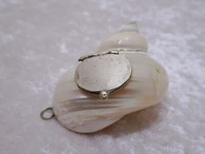 Antike Muschel Dose für z.B. Pillen Schnupftabak Vintage um 1900 - Tabatiere